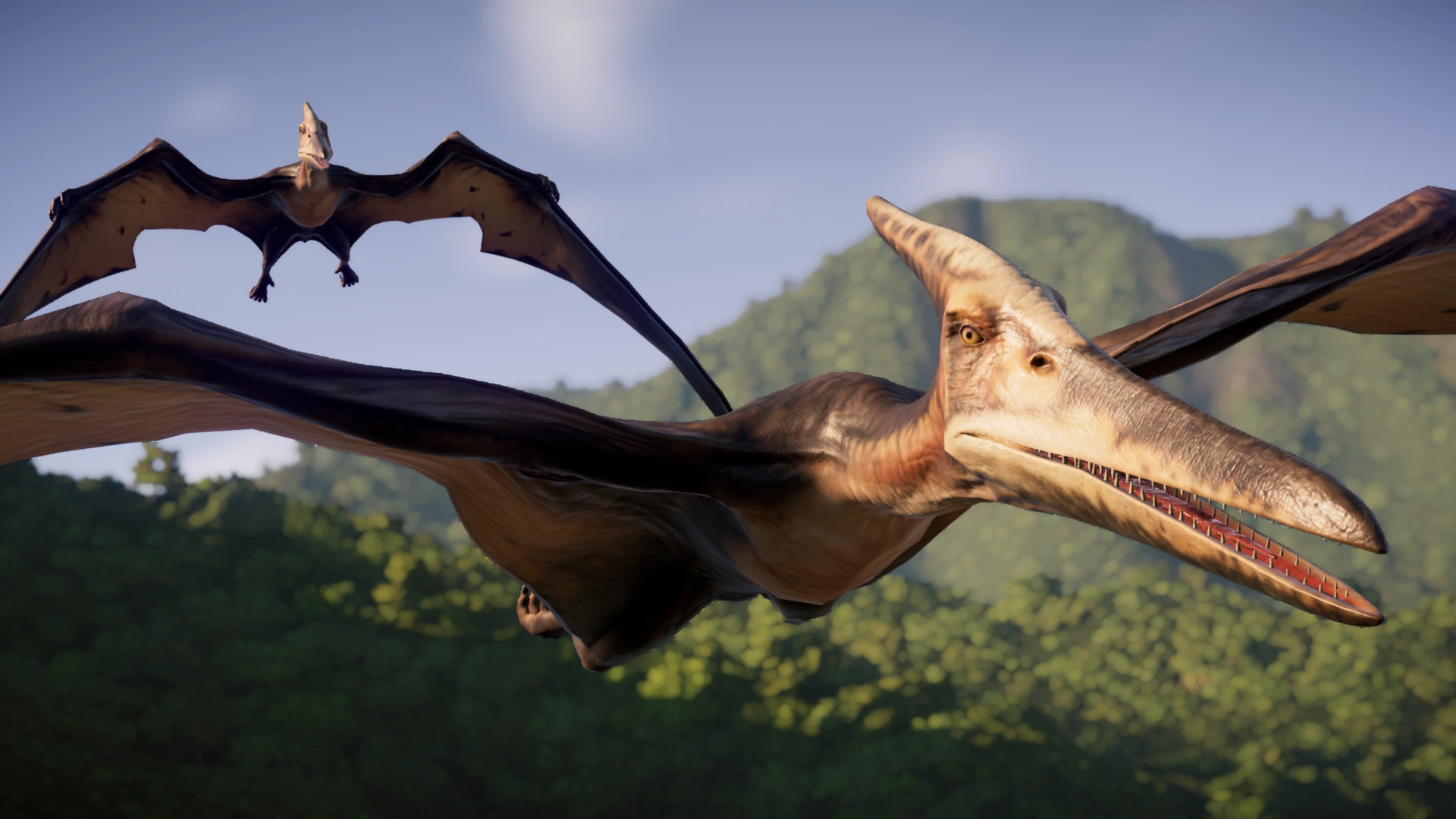 Pteranodon in flight